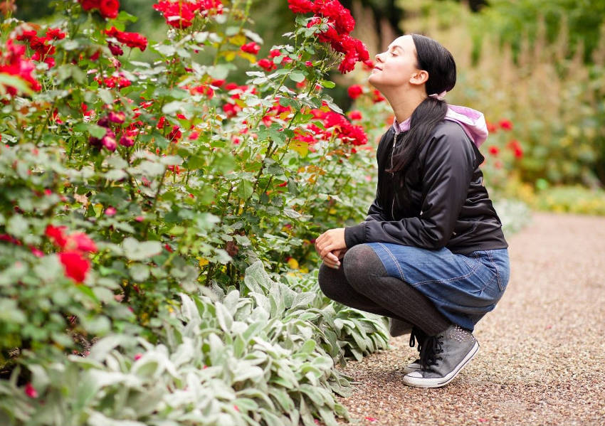 Sensory Garden